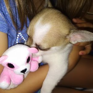 Meet your Posher, Vanessa